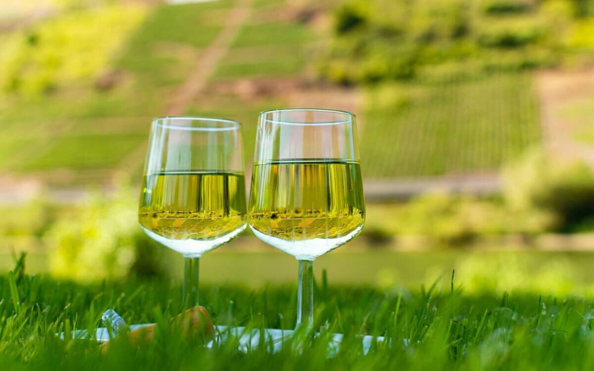 TOUT_SAVOIR_SUR_LE_RIESLING 1200X750 | L'abreuvoir Qu’est-ce que le Riesling d’Alsace ? Cernay